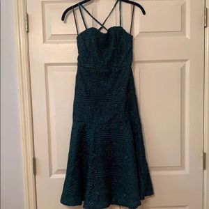 Lulus Lace Trumpet Dress